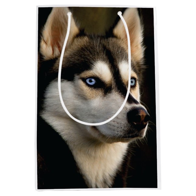 Sac Cadeau Moyen Beautiful Husky Throw Pillow (Devant)
