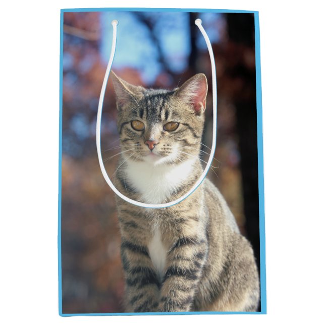 Sac Cadeau Moyen Brin (Devant)