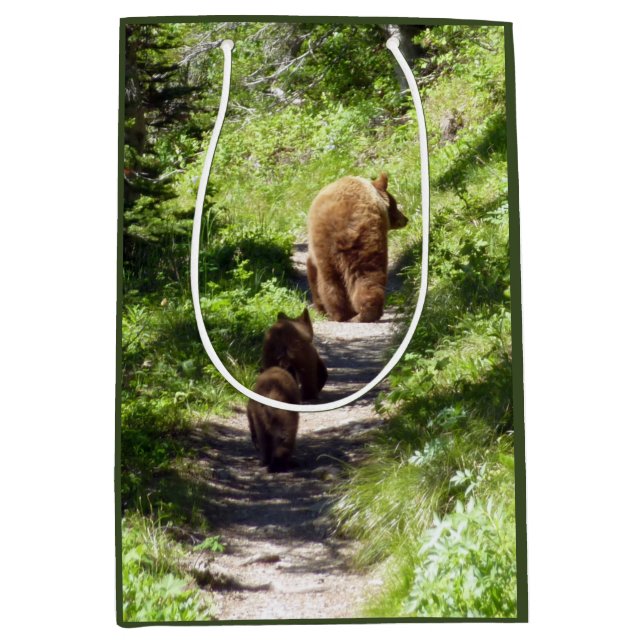 Sac Cadeau Moyen Brown Bear Family (Devant)