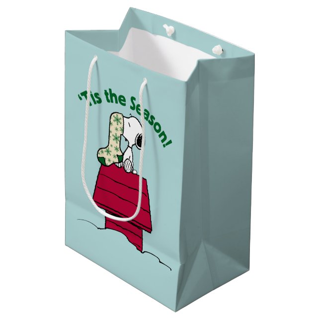 Sac Cadeau Moyen cacahuètes | 'C'est la saison! (Devant Angle)