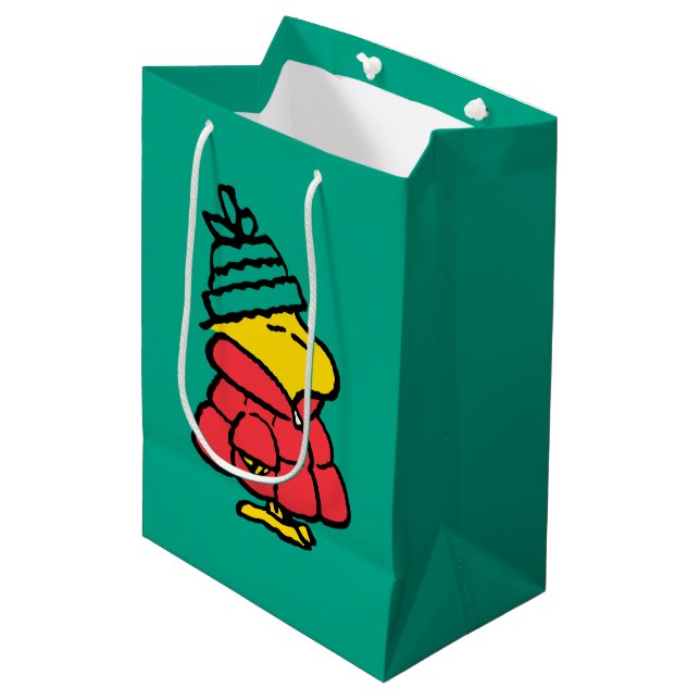 Sac Cadeau Moyen cacahuètes | Veste d'hiver de Woodstock Puffy (Devant Angle)
