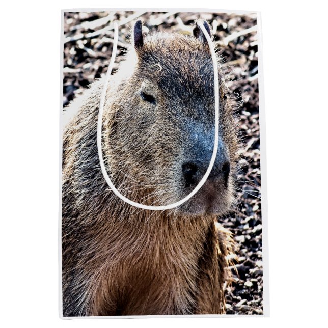 SAC CADEAU MOYEN CAPYBARA ANIMAL SAUVAGE (Devant)