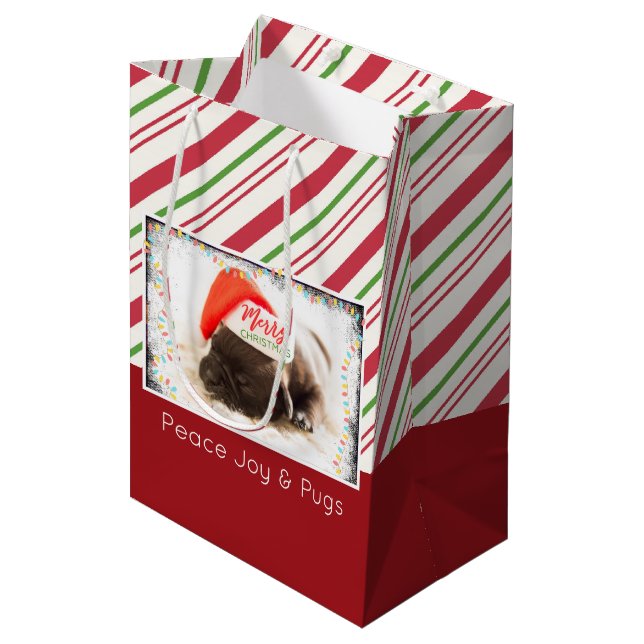 Sac Cadeau Moyen Carlin festif en chapeau de Noël rouge avec lumièr (Devant Angle)