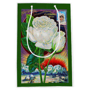 Sac Cadeau Moyen Catalogue rose des années 1890 illustration Rose b