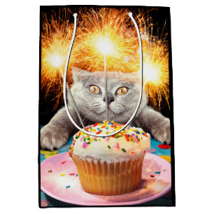 Sac Cadeau Moyen Chat Avec Cupcake Sparkler