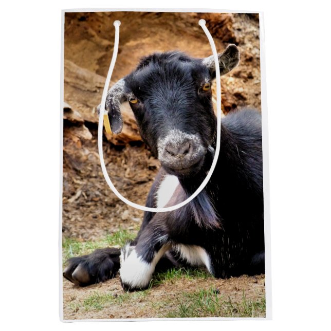 SAC CADEAU MOYEN CHÈQUE (Devant)