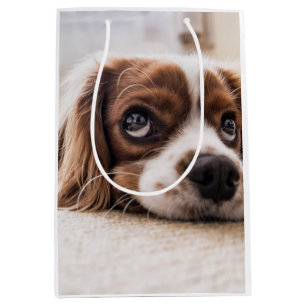 Sac Cadeau Moyen Chien Espagnol Coqueur Triste