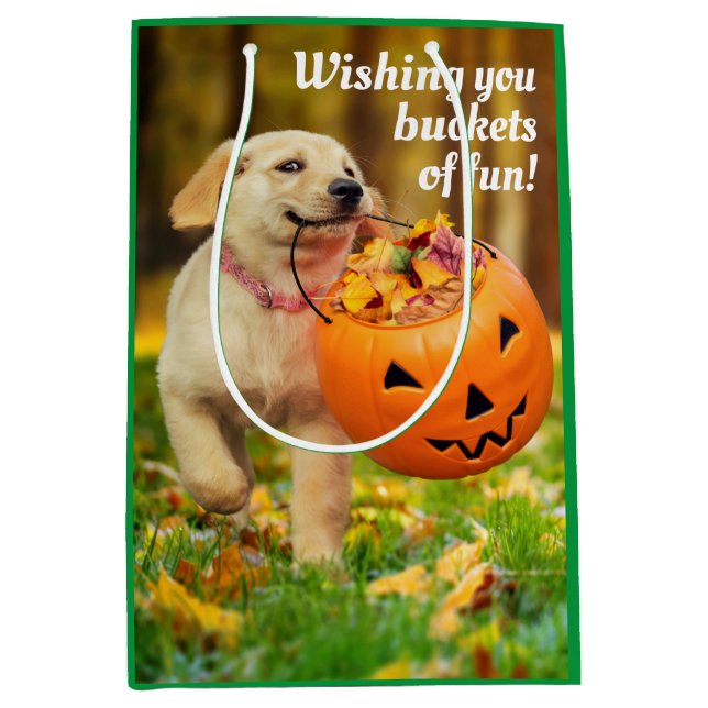 Sac Cadeau Moyen Chiot avec saut Citrouille (Devant)