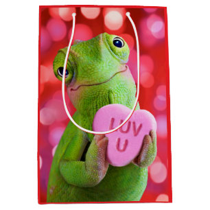 Sac Cadeau Moyen Cœur de Caméléon (Amour de toi)