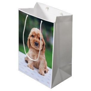 Sac Cadeau Moyen Coker Spaniel
