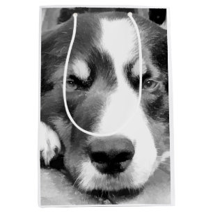 SAC CADEAU MOYEN COLLIE FRONTALIÈRE