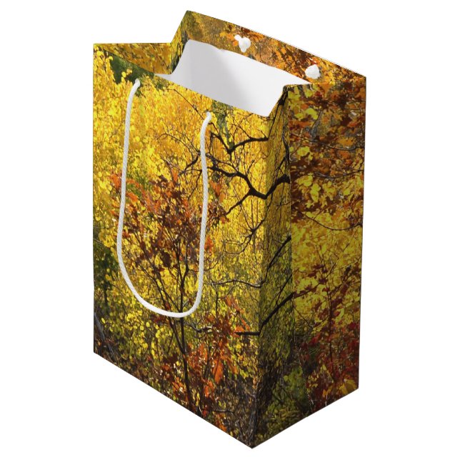 Sac Cadeau Moyen Couleurs d'automne (Devant Angle)