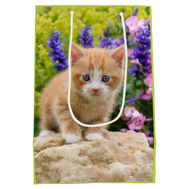 Sac Cadeau Moyen Cute Ginger Chat Kitten Fleur Jardin emballage cad (Dos)