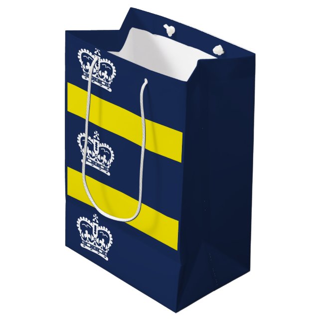 Sac Cadeau Moyen Drapeau de Regina (Saskatchewan) Sac-cadeau moyen (Devant Angle)