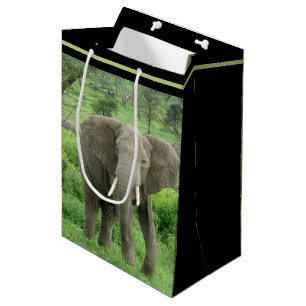 Sac Cadeau Moyen Éléphant près de Ndutu