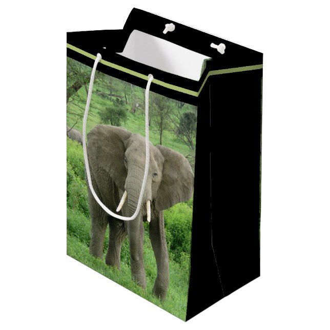Sac Cadeau Moyen Éléphant près de Ndutu (Devant Angle)