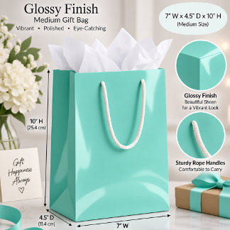 Sac Cadeau Moyen Emballage Cadeau Minimaliste de Couleur Uni Aqua D