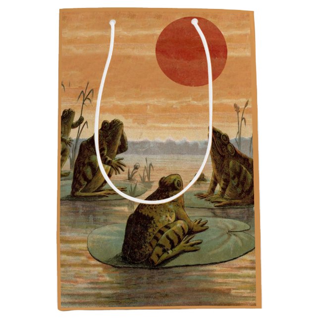 Sac Cadeau Moyen Frogs Lily Pads Moon Illustration (Devant)