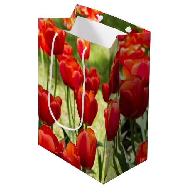 Sac Cadeau Moyen Grand champ de tulipes rouges (Devant Angle)