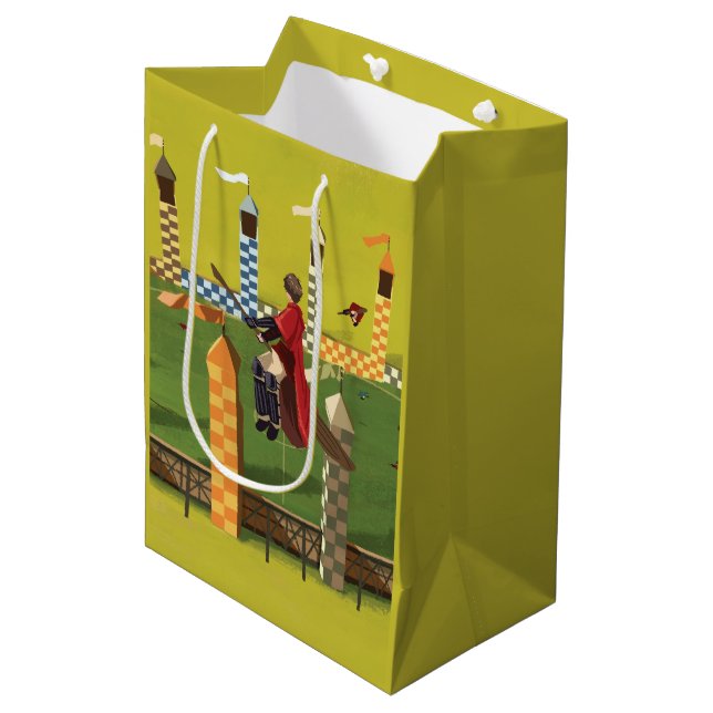 Sac Cadeau Moyen HARRY POTTER™ à la recherche de l'entonnoir d'or (Devant Angle)