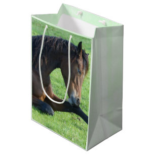 Sac Cadeau Moyen Joli Cheval Brown allongé dans l'herbe