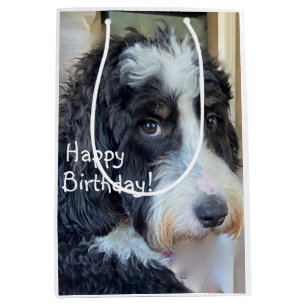 Sac Cadeau Moyen Joyeux anniversaire adorable Bernedoodle