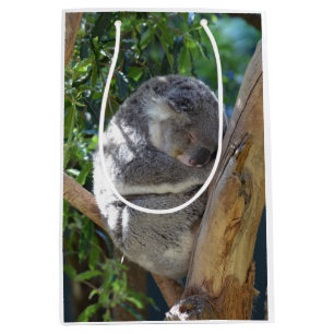 Sac Cadeau Moyen Koala dormant dans l'arbre