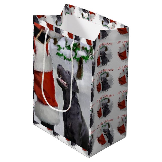 Sac Cadeau Moyen Labrador Retriever Believe Christmas (Devant Angle)