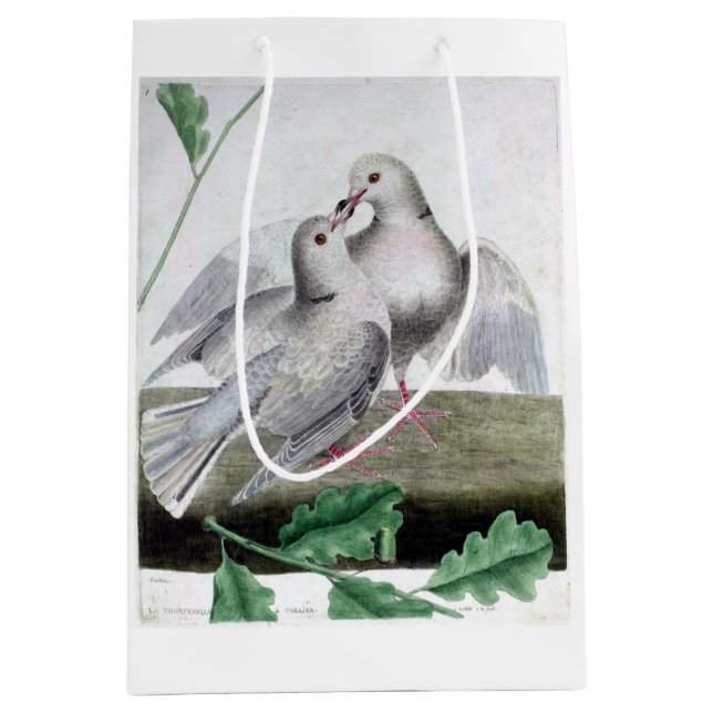 Sac Cadeau Moyen Love Doves (Devant)