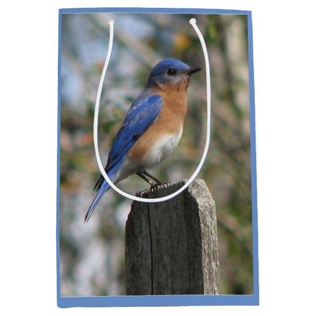 Sac Cadeau Moyen Mâle intelligent d'oiseau bleu (Devant)