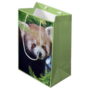 Sac Cadeau Moyen Motif Red Panda