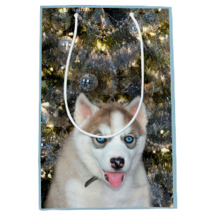 Sac Cadeau Moyen Noël observé par bleu de costaud sibérien