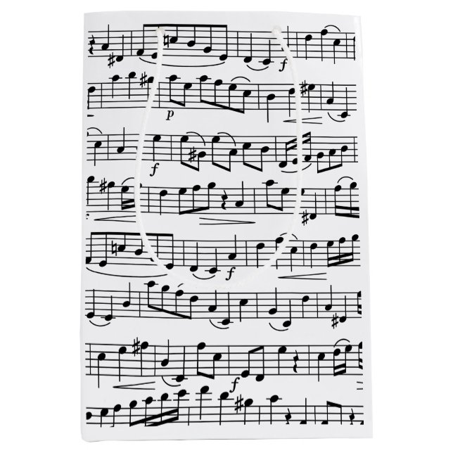 Sac Cadeau Moyen Notes de musique feuille (Devant)