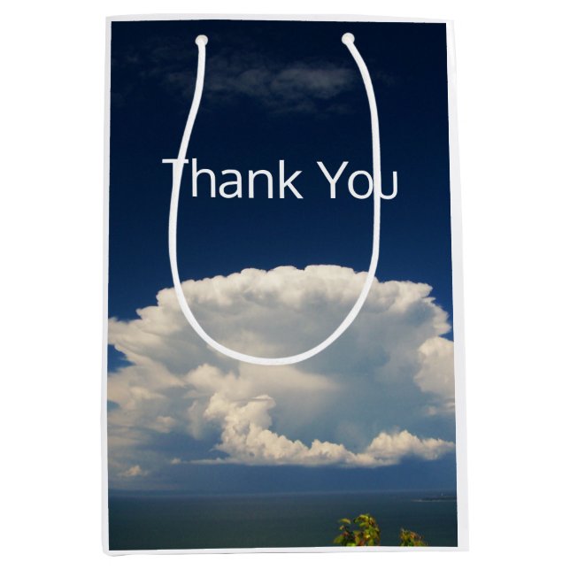 Sac Cadeau Moyen Nuage de Puffy blanc (Devant)