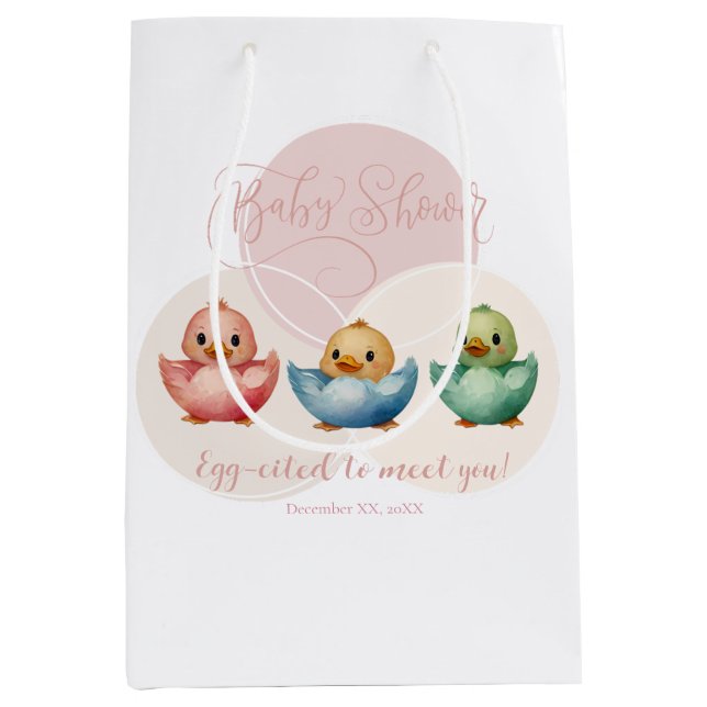 Sac Cadeau Moyen Oiseaux d'Oeufs de Cute Kawaii Baby shower coloré  (Devant)