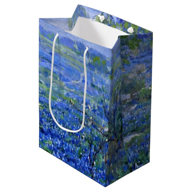 Sac Cadeau Moyen Onderdonk - Jour nuageux, Bluebonnets San Antonio (Devant Angle)