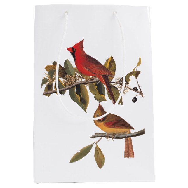 Sac Cadeau Moyen Paire cardinale Audubon en amandiers sauvages (Devant)