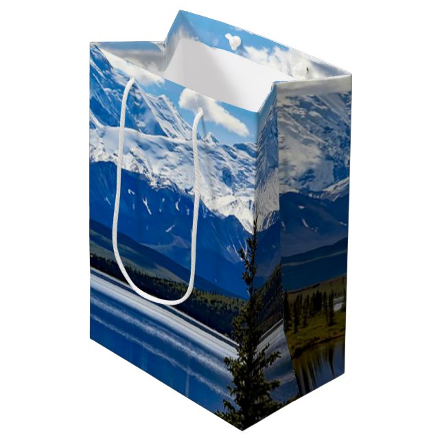 Sac Cadeau Moyen Parc national de Denali, Alaska (Devant Angle)