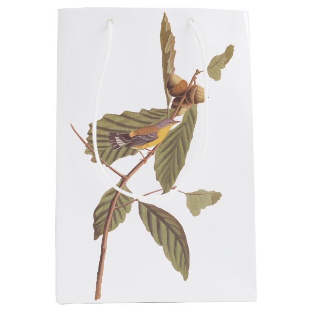 Sac Cadeau Moyen Paruline de Swainson d'Audubon sur chêne Branche (Devant)