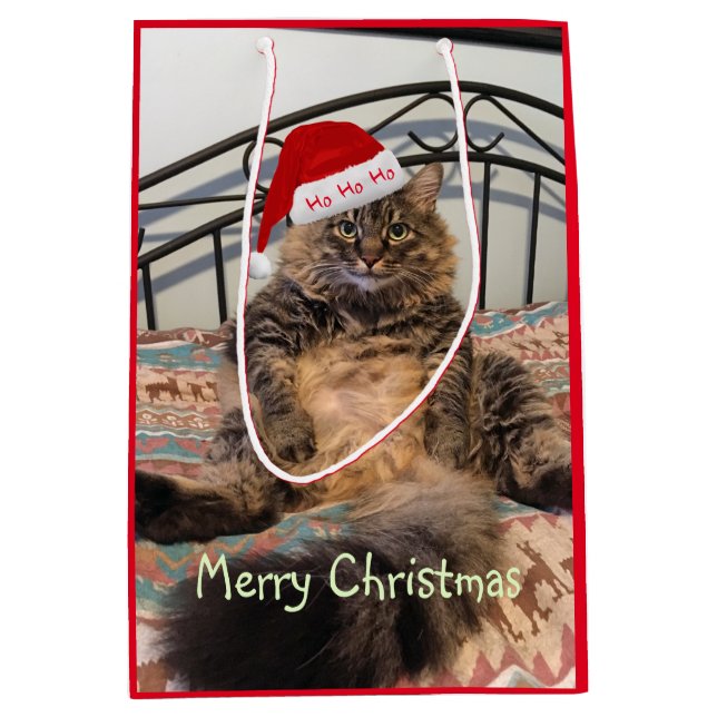 Sac Cadeau Moyen Père Noël Cat Ho Ho Ho Ho Medium Cadeau (Devant)