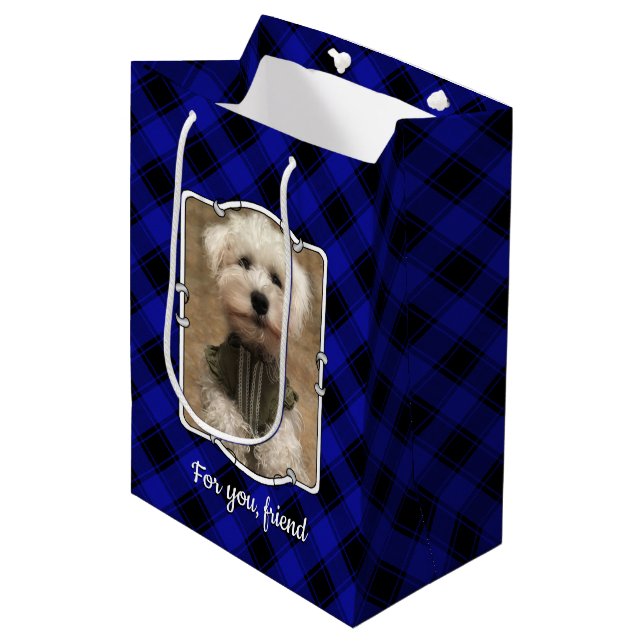 Sac Cadeau Moyen Personnalisé 2 Photos Personnalisées Plaid Bleu &  (Devant Angle)