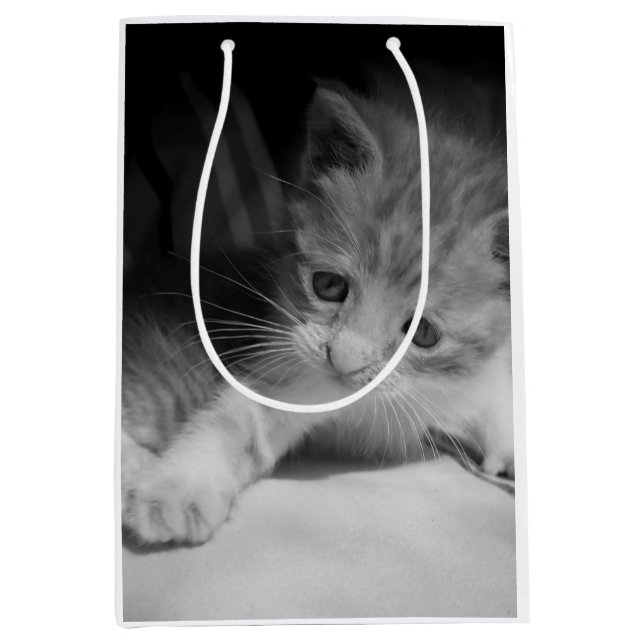Sac Cadeau Moyen Photo de Kitten noir et blanc (Devant)