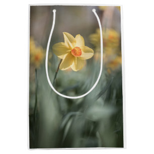 Sac Cadeau Moyen Photo de la jonquille de fleurs jaunes