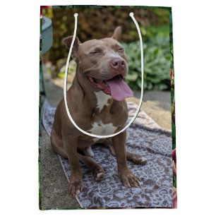 Sac Cadeau Moyen Photographie d'un Pitbull heureux avec des fleurs 