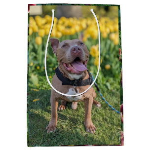 Sac Cadeau Moyen Photographie d'un Pitbull heureux avec des fleurs 