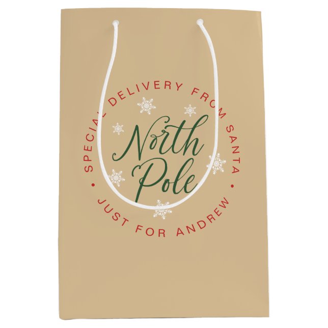 Sac Cadeau Moyen Pôle Nord Livraison spéciale Kraft Brown Personnal (Devant)