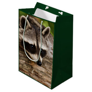 Sac Cadeau Moyen Raccoon mignon reposant sur un journal