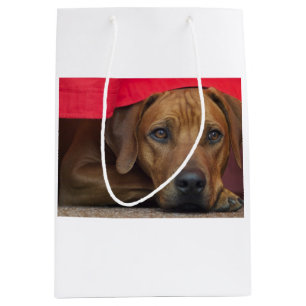 Sac Cadeau Moyen rhodesian-ridgeback