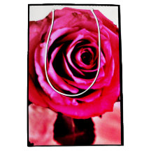 Rose florissant