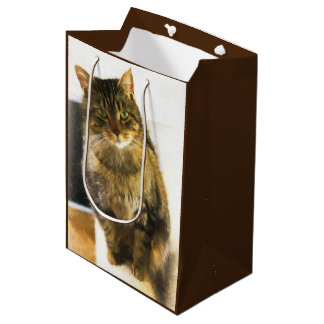 Sac Cadeau Moyen Sacoche-cadeau pour chats cuits